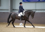 LINK TO - NorthcoteDressage Sunday31stAug'14 portfolio