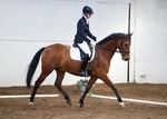LINK_TO - BartonEC Sat26thApril'14 Unaff.Dressage portfolio