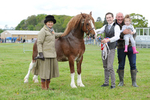 The North Somerset Show 2017