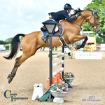 August Stay Away Including Young Horses 10-13th = Click to View Photos portfolio