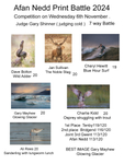 Afan Nedd Print Battle portfolio
