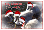 Xmas Cards Dawlish portfolio