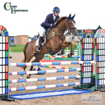 BS Seniors Stay Away Inc Derby's 12th to 15th -  Click to Enter