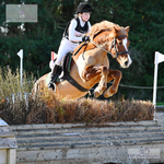 NSEA Arena Eventing Sunday 2nd - Click to View