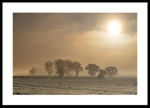 Winter Sun portfolio