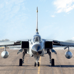 Cobra Warrior 2022 - Waddington portfolio