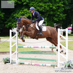 Bicton Second Rounds Show 3rd to 6th = Click to Enter
