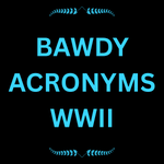 Bawdy Acronyms portfolio