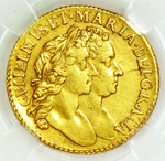 HALF GOLD GUINEA portfolio