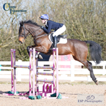 BS Seniors Inc BlueChip Quali 21st to 23rd - Click to View
