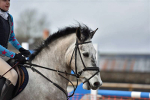 Downe Farm Arena Eventers 10-03-2018