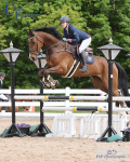 BS Seniors Weekend Inc Talent Seekers & Area Trial 8th to 11th - Click To View