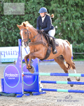 Devon Area BS Weekend 5th and 6th - Click to Enter
