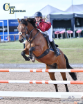 Pony Premier 27th to 29th - Click to Enter portfolio