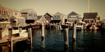COASTAL [Vintage] portfolio