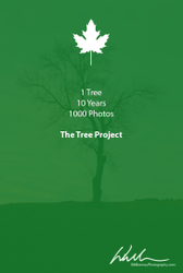 The Tree Project portfolio