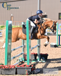 Pony Premier 26th to 28th June - Click to Enter portfolio