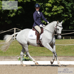 BD Petplan Summer Area Festival at Bicton Arena - Click to Enter