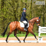 Wayford Arena UnAff Dressage, Quest and ROR, Saturday 29th April = Click to View Photos portfolio