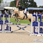 BS Devon Area 50 Show Sat 17 to Sun 18 - Click to View