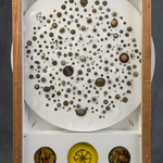 Watchmaker's Universe portfolio