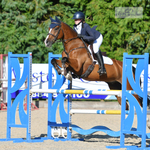 PC Area 15 Showjumping Qualifier - Click to Enter
