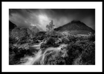 Black & White Collection portfolio