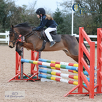 BS Ponies, Juniors and Club 16th to 17th - Click to Enter