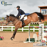 April BS Seniors Stayaway Show 31/03 to 02/04 - Click to View Photos portfolio