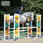 NSEA Showjumping Sunday 9th - Click to Enter