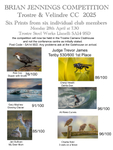 Brian Jennings Trophy - Trostre & Velindre Camera Club portfolio