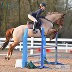 Tuesday Evening Club and Juniors, 25th April = Click to View Photos portfolio