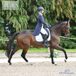 International CCI-S 2* Friday - Section B portfolio