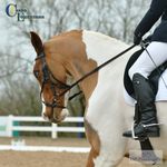 Unaffiliated Dressage Winter Final, Wayford Arena, Sunday 5th March = Click to View Photos portfolio