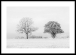 Black Tree, White Tree portfolio