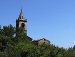 253. Church of Thorns (IT) portfolio