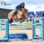 BS Young Horse and Area Trial Show 31st to 3rd - Click to Enter