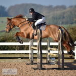 BS Juniors and Club 15 & 16 July = Click to View Photos portfolio