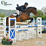 May Snr BS Show, 4th to 7th May = Click to View Photos portfolio