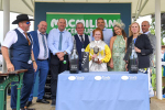Race 1 2.00pm Queen Mother's Cup Handicap portfolio