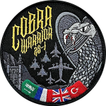 Cobra Warrior 25-1 portfolio