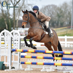 Combined Training Final Tuesday 14th March 2023 = Click to View Photos portfolio