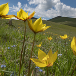 Tours and Courses .....Hidden Worlds portfolio