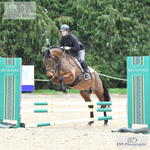 Eventers Clear Round Showjumping, Tuesday 6th = Click to View Photos portfolio