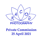 Abdulmajeed portfolio