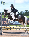 BS Weekend Inc Young Horses 30 July to 2 Aug - Click to Enter