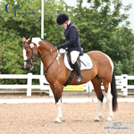 BRC Area 12 Dressage Qualifers Saturday 5th - Click to View