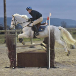 NSEA Hickstead Qualifiers 06-01-2018