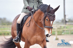 NFU Dressage Championships at KSEC 08-04-2018
