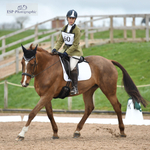 BRC Area 12 Combined Training Sunday 26 March = Click to View Photos portfolio